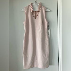 Beautiful blush colored Calvin Klein dress, would make a statement anywhere.